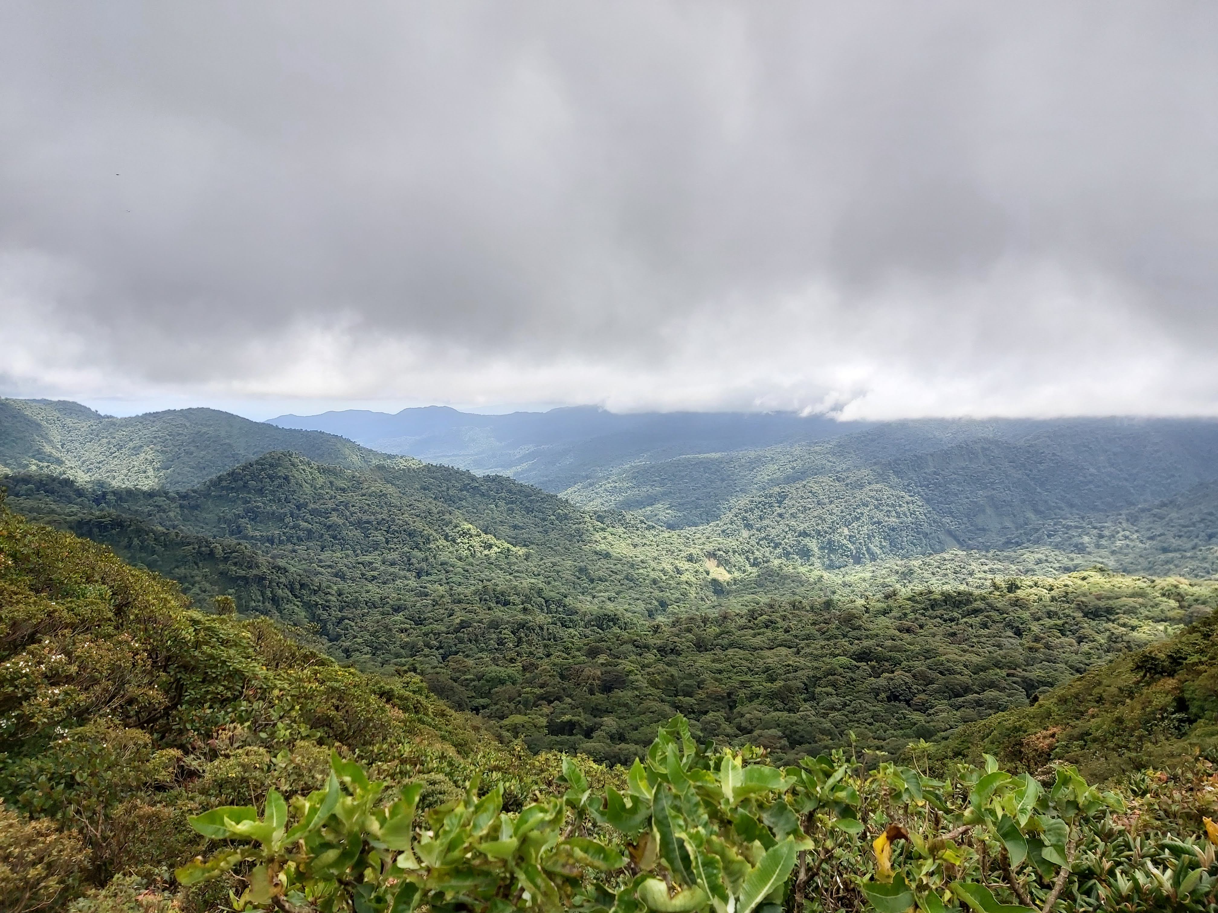 The Cloud Forest of Costa Rica
